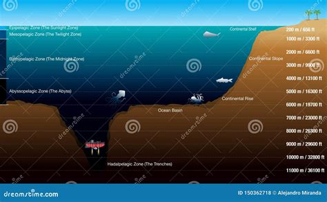 184 Feet to Meters: An In-Depth Exploration