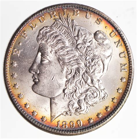 1899 dollar coin value