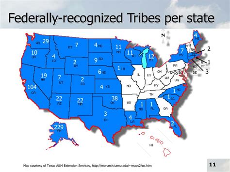 19 federally recognized tribes