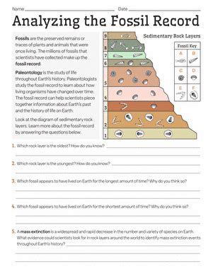 191 The Fossil Record Worksheet Answers Doc