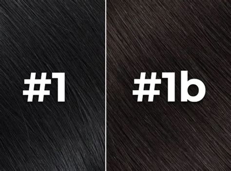 1b: The Perfect Hair Hue with Endless Possibilities