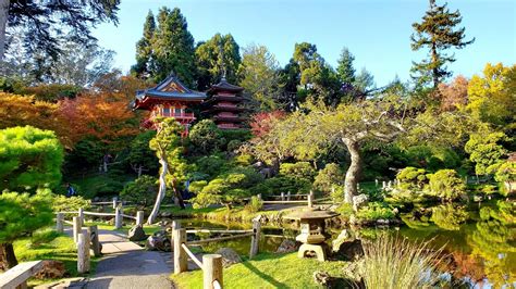 2,000,000+ Reasons to Visit the Japanese Tea Garden SF