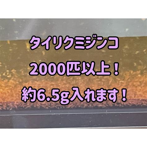 2,000匹以上