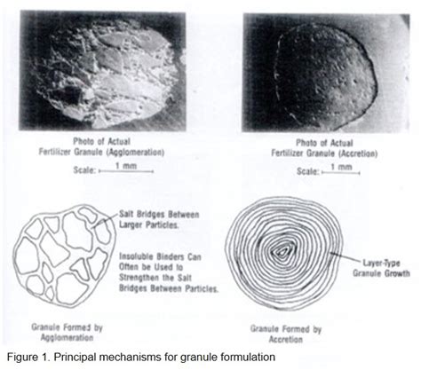 2 Essential Ingredients for Effective Granulation