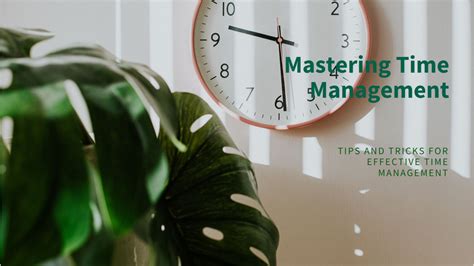 2-Minute Timer: Empowering You with Time Management Mastery