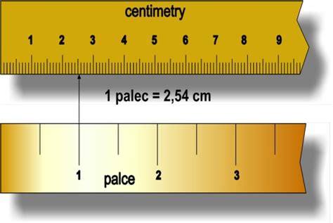 2.0 cm to Inches: An Essential Conversion for Everyday Use