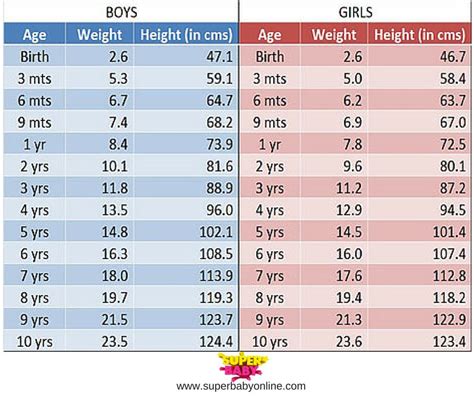 2.5-4 kg: The Normal Weight Range of Newborn Babies