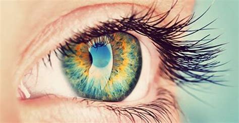 20/20 Vision: The Science Behind Perfect Eyesight