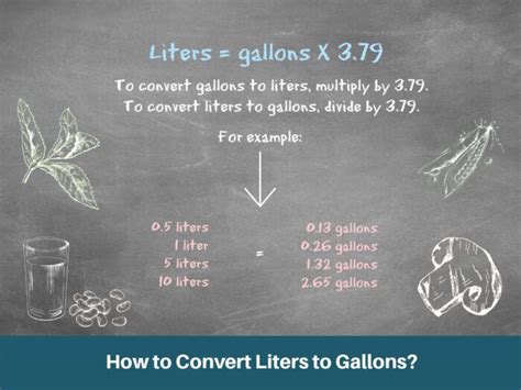 20 Gallons to Liters: Equivalency Table, Conversions, and Applications