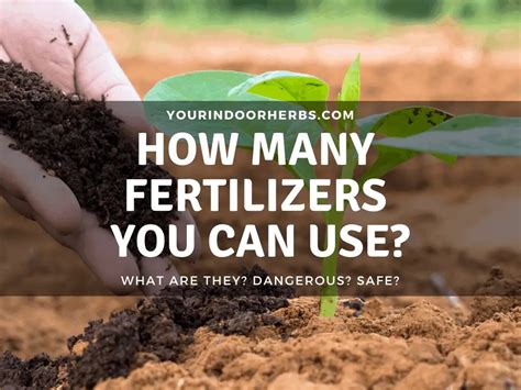 20 Mind-Boggling Industries Using Ammonium Phosphate Fertilizer to Boost Yields