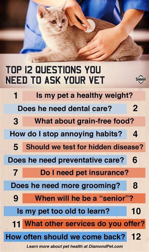 20 Must-Ask Questions to Empower Your Veterinarian Visit