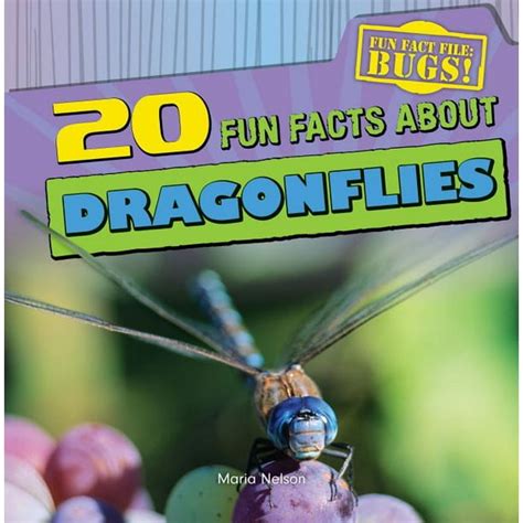 20 fun facts about dragonflies fun fact file PDF