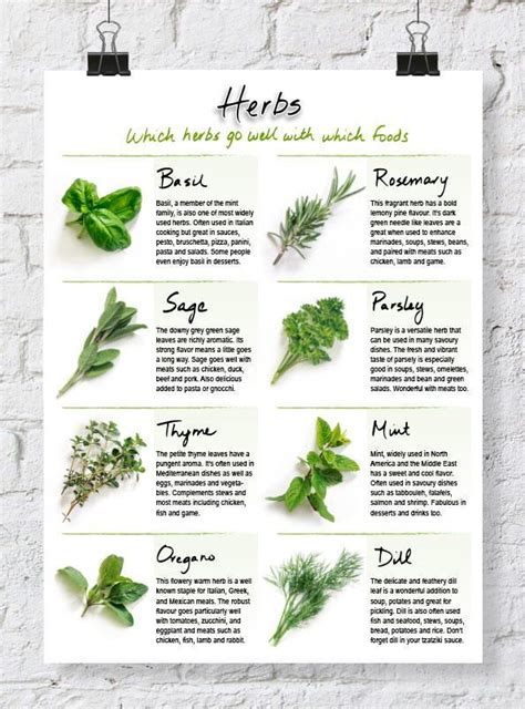 20 herbs for your wedding 20 herbs series Doc