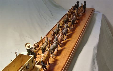 20 mule team model