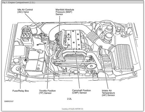 2000 isuzu trooper engine diagram pdf Doc