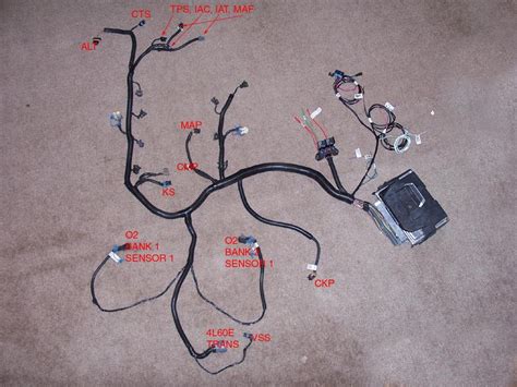 2002 ls1 wiring diagram pdf Kindle Editon