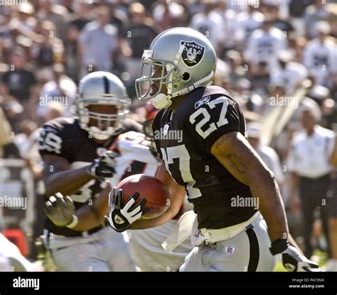 2003 raiders