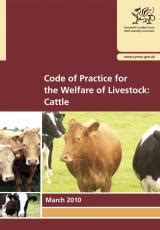 2012 beef cattle welfare code PDF