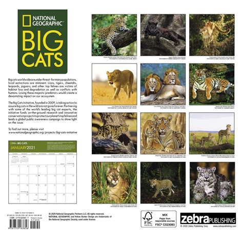 2012 big cats national geographic wall calendar Reader