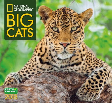 2012 big cats national geographic wall calendar Reader