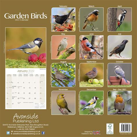 2012 birds in the garden wall calendar Reader