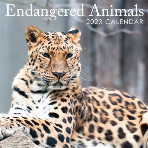 2012 endangered animals super poster calendar horizontal Doc