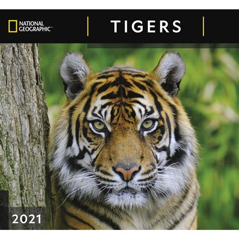 2012 tigers national geographic wall calendar PDF