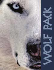 2013 Ks2 Sat Booklet Answers Wolf Pack Doc