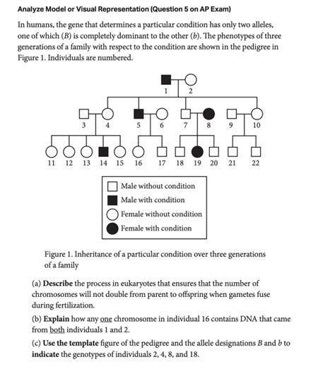 2013 ap biology practice exam answers PDF