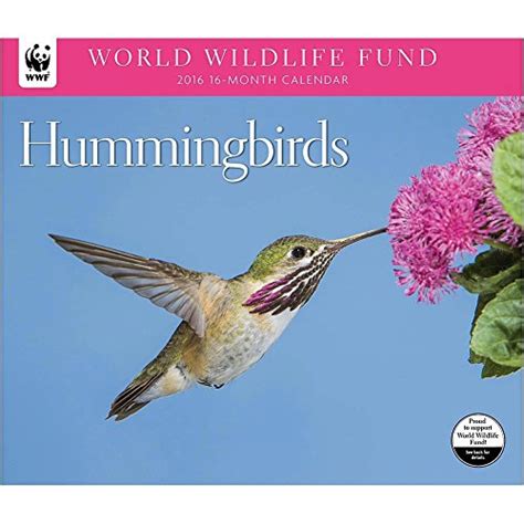 2013 calendar hummingbirds wwf 2013 deluxe wall calendar Doc