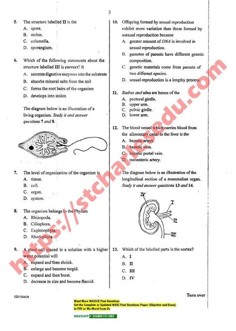 2014 Waec Biology Questions And Answers PDF