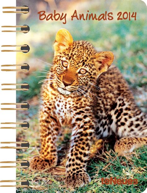 2014 baby animals deluxe pocket engagement calendar Kindle Editon