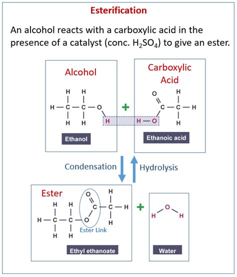 2014 learner guide grade 12 experiment 1 preparing different esters Doc