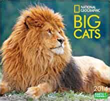 2014 national geographic big cats deluxe wall Kindle Editon