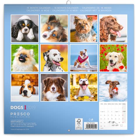 2015 a dogs life wall calendar Epub