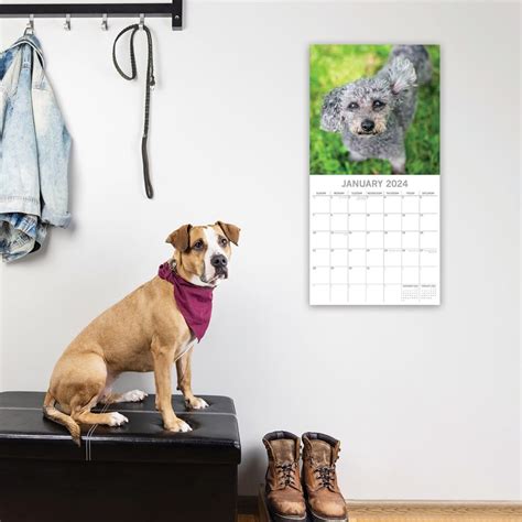 2016 Dogs Wind Wall Calendar Epub