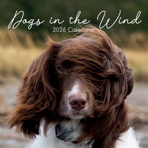 2016 Dogs Wind Wall Calendar Epub