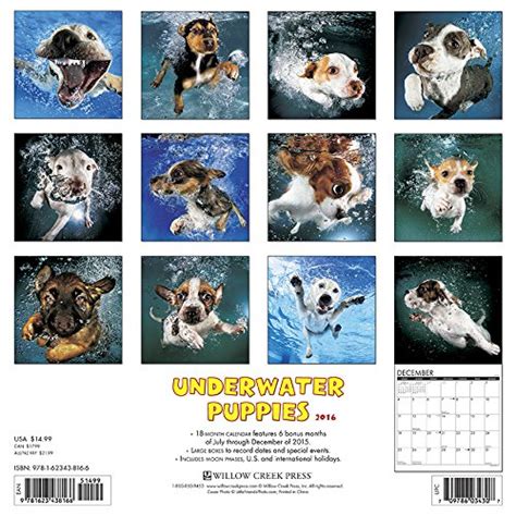 2016 Underwater Puppies Wall Calendar Reader