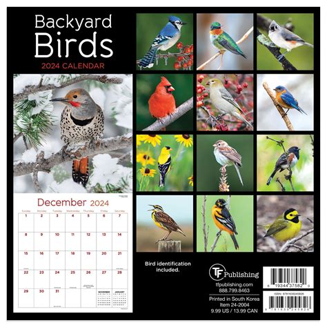 2016 backyard birds mini calendar Epub