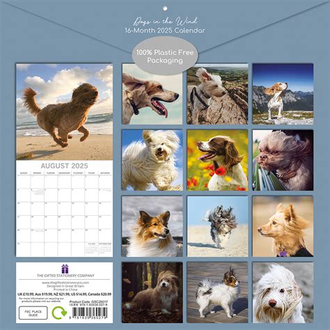 2016 dogs in the wind wall calendar Doc