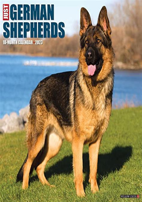 2016 just german shepherds wall calendar Doc