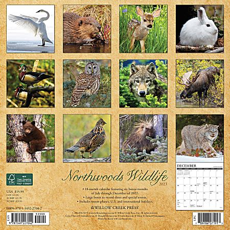 2016 northwoods wildlife wall calendar Reader