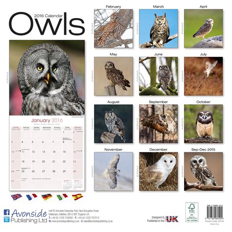 2016 owls wall calendar Reader