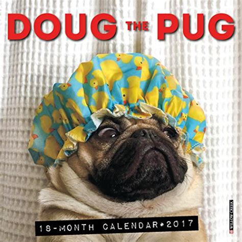 2017 Doug Mini Wall Calendar Kindle Editon