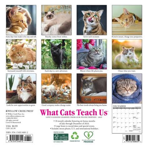 2017 What Cats Teach Calendar Doc