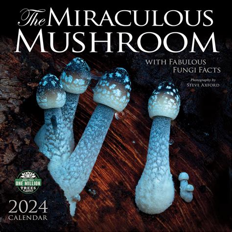 2023's Mushroom Crystals: 10,000-Year-Old Fungi with Miraculous Benefits