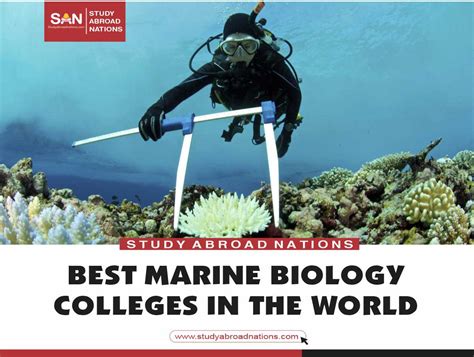 2023's Top 10 Colleges for Marine Biology