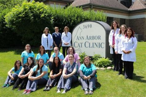 2023 Ann Arbor Cat Clinic Guide: All You Need to Know