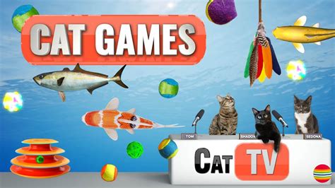 2023 Cat Games and Entertainment: The Ultimate Throwdown