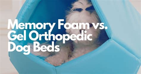 2023 Dog Bed Filling Comparison: Memory Foam vs. Orthopedic Foam vs. Cooling Gel